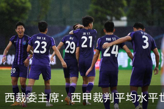 西裁委主席:西甲裁判平均水平世界最佳,误判难免